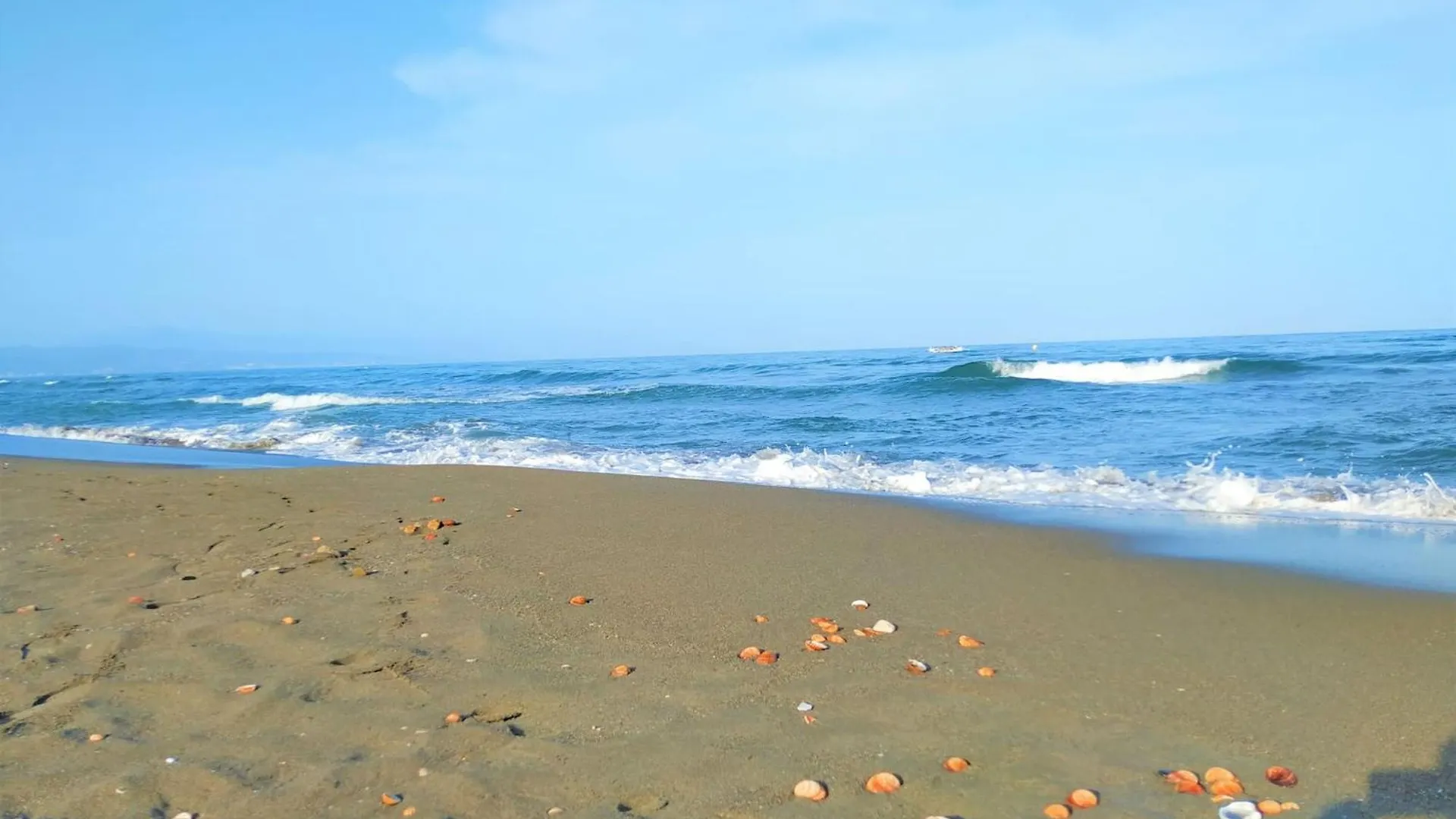 Lovely Sea And Garden View Apartment Benalbeach Benalmadena